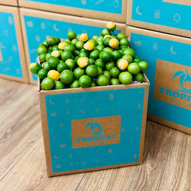 Spanish Limes | Mamoncillos | Quenepas | Guineps Box GoogleON Tropical Fruit Box